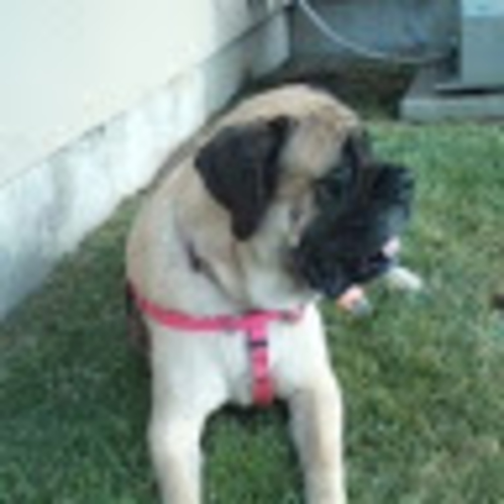 Meet your Posher, Kara